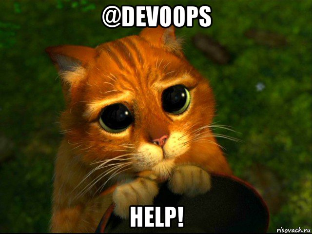 @devoops help!, Мем кот из шрека