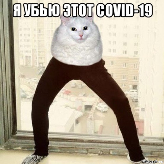 я убью этот covid-19 , Мем Кот с ногами