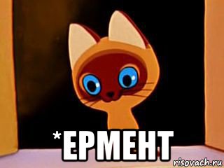  *ермент