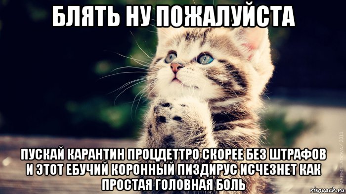блять ну пожалуйста пускай карантин процдеттро скорее без штрафов и этот ебучий коронный пиздирус исчезнет как простая головная боль, Мем Котенок и поджатые лапки
