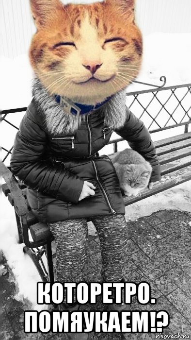  которетро. помяукаем!?, Мем Которетро