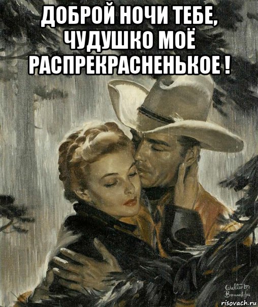 доброй ночи тебе, чудушко моё распрекрасненькое ! , Мем КОВБОЙ