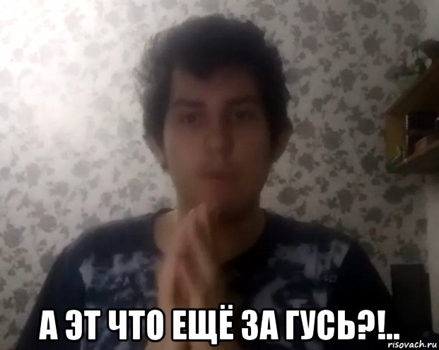  а эт что ещё за гусь?!.., Мем Куроебовский