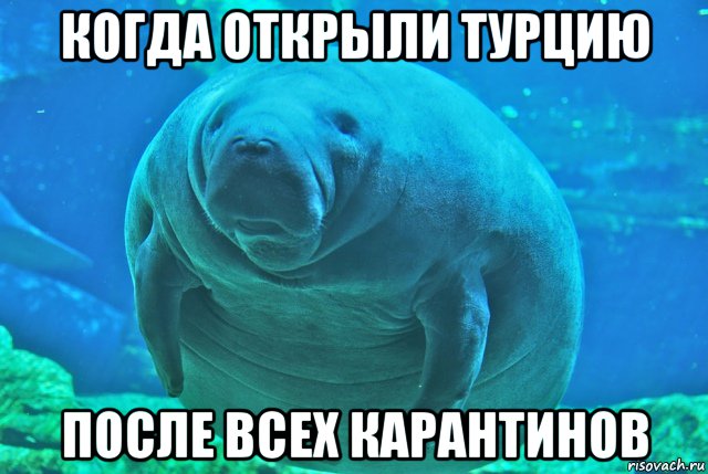 когда открыли турцию после всех карантинов, Мем Ламантин