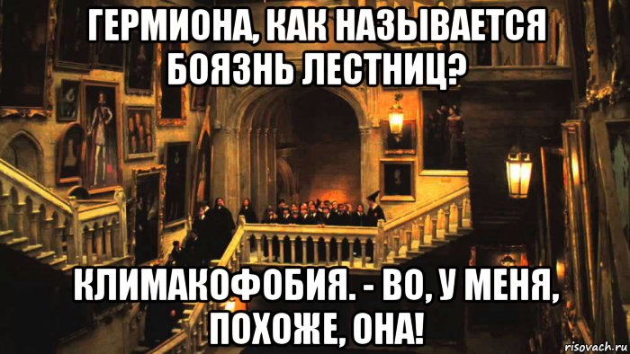 гермиона, как называется боязнь лестниц? климакофобия. - во, у меня, похоже, она!, Мем Лестница
