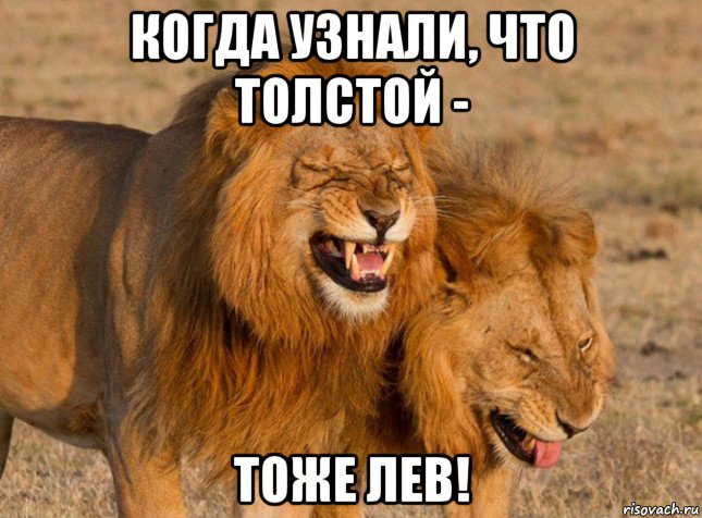 когда узнали, что толстой - тоже лев!, Мем Львы ржут