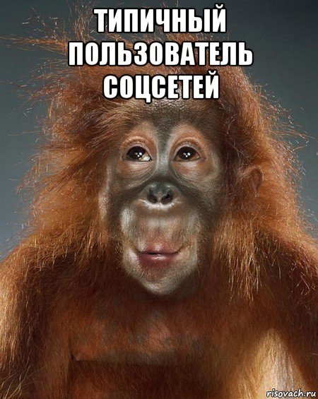 типичный пользователь соцсетей 
