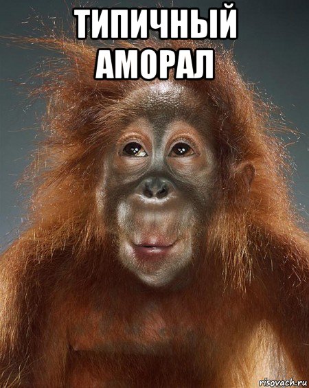 типичный аморал 