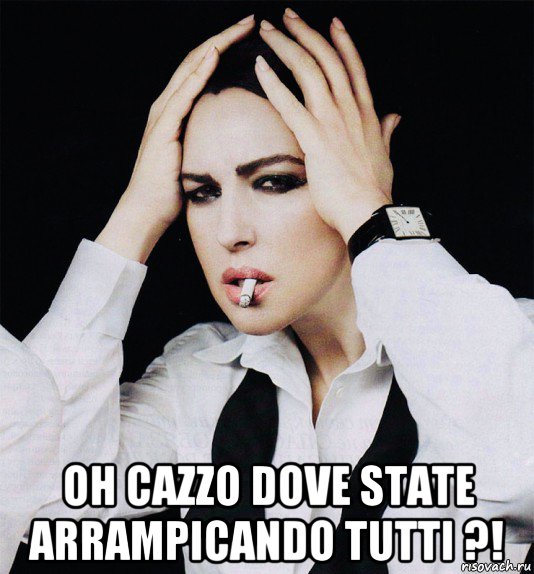  oh cazzo dove state arrampicando tutti ?!, Мем Monica