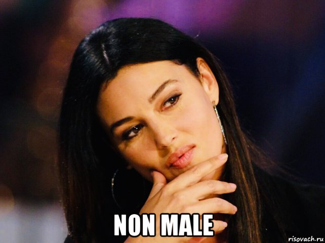  non male, Мем Monica