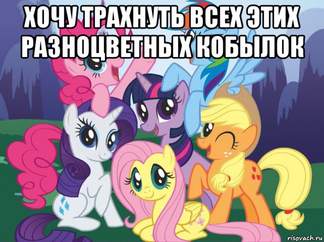 хочу трахнуть всех этих разноцветных кобылок , Мем My little pony