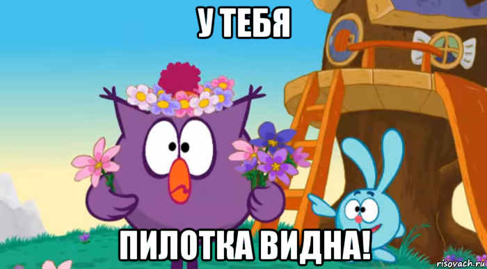 у тебя пилотка видна!, Мем На лабутнах