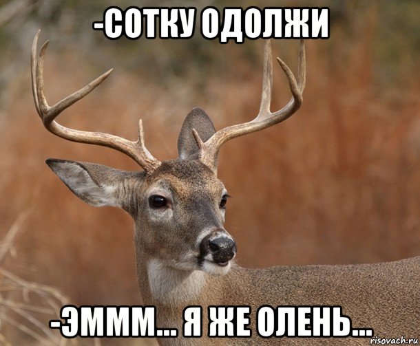 -сотку одолжи -эммм... я же олень...