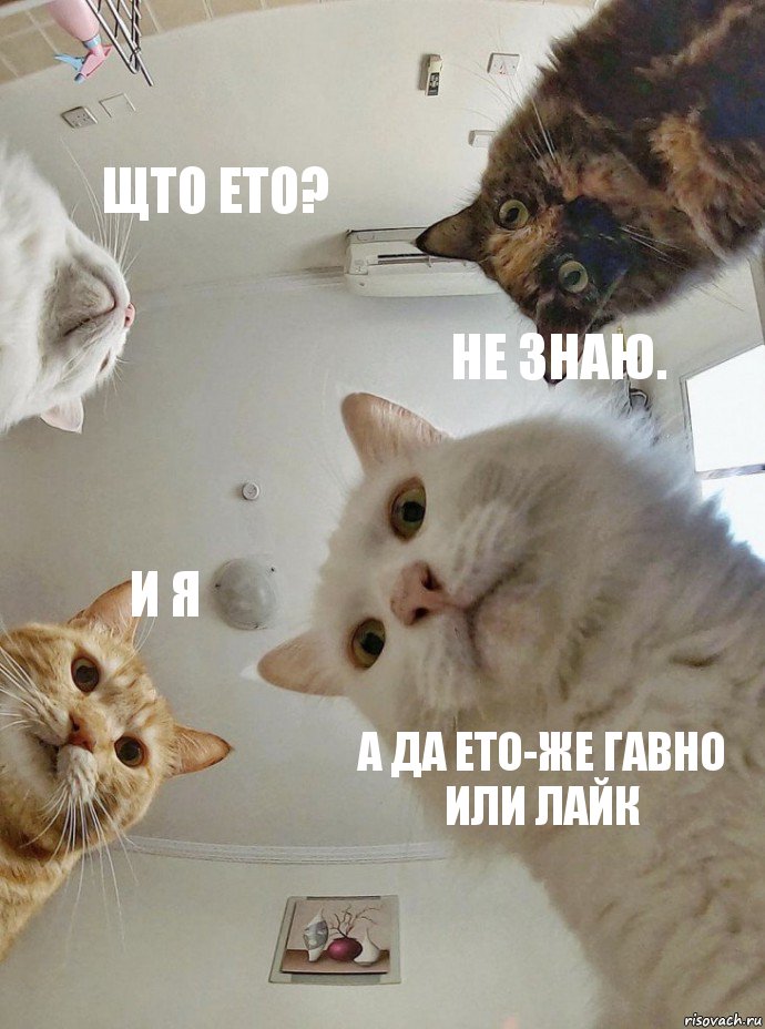 щто ето? не знаю. и я а да ето-же гавно или лайк