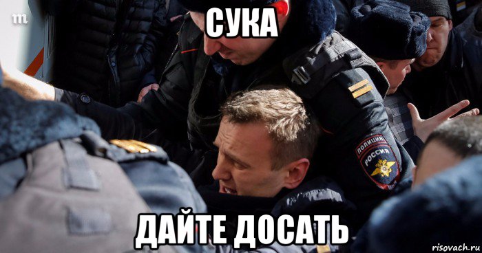 сука дайте досать