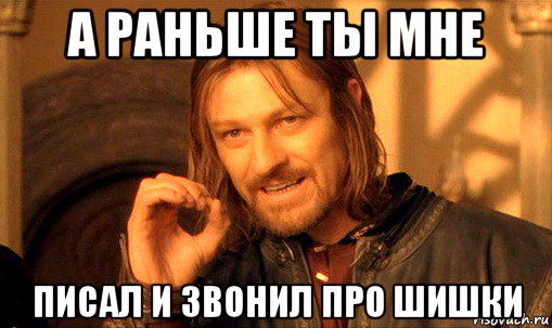 а раньше ты мне писал и звонил про шишки, Мем Нельзя просто так взять и (Боромир мем)