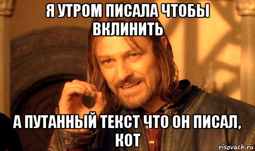 я утром писала чтобы вклинить а путанный текст что он писал, кот, Мем Нельзя просто так взять и (Боромир мем)