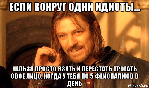 если вокруг одни идиоты... нельзя просто взять и перестать трогать свое лицо, когда у тебя по 5 фейспалмов в день, Мем Нельзя просто так взять и (Боромир мем)