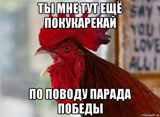 ты мне тут ещё покукарекай по поводу парада победы