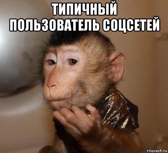 типичный пользователь соцсетей 