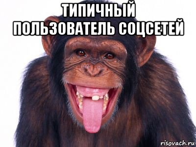 типичный пользователь соцсетей 
