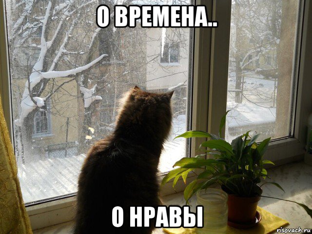 о времена.. о нравы, Мем Окно