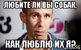 любите ли вы собак, как люблю их я?, Мем Панин