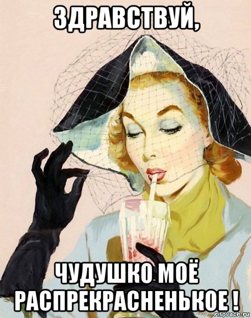 здравствуй, чудушко моё распрекрасненькое !, Мем ПЕРЧАТКИ
