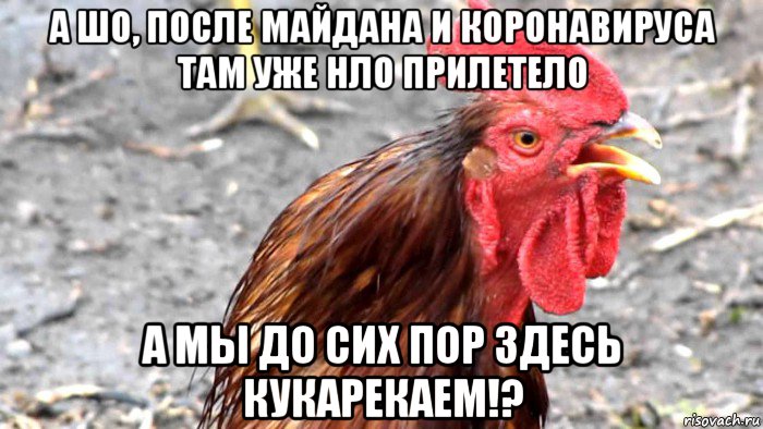 а шо, после майдана и коронавируса там уже нло прилетело а мы до сих пор здесь кукарекаем!?