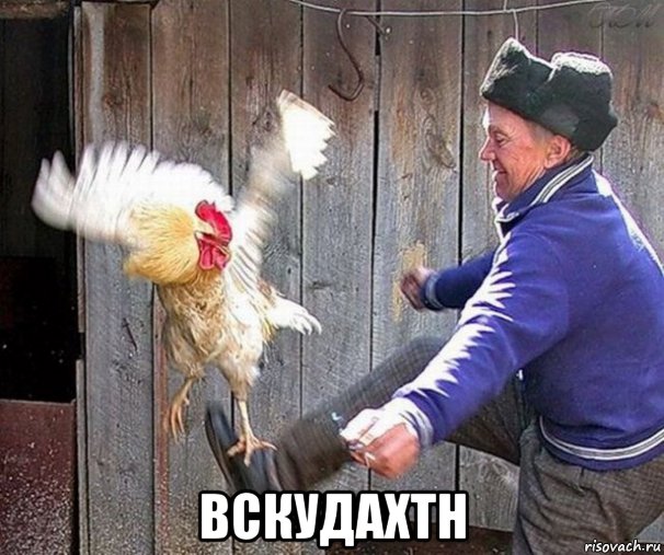  вскудахтн