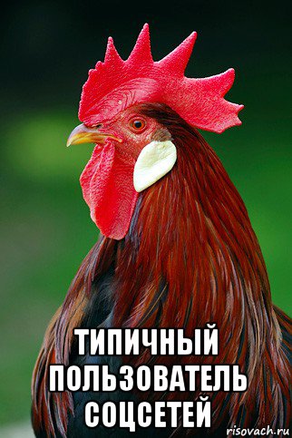  типичный пользователь соцсетей