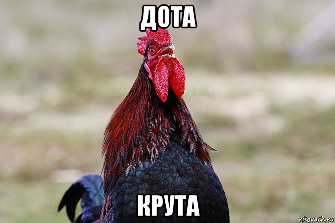 дота крута