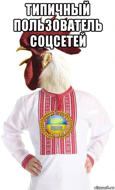 типичный пользователь соцсетей 