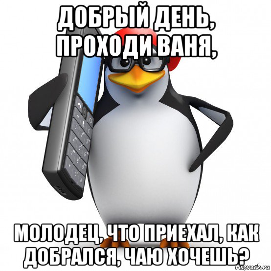 добрый день, проходи ваня, молодец, что приехал, как добрался, чаю хочешь?, Мем   Пингвин звонит