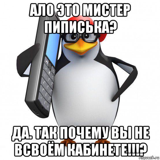 ало это мистер пиписька? да. так почему вы не всвоём кабинете!!!?, Мем   Пингвин звонит