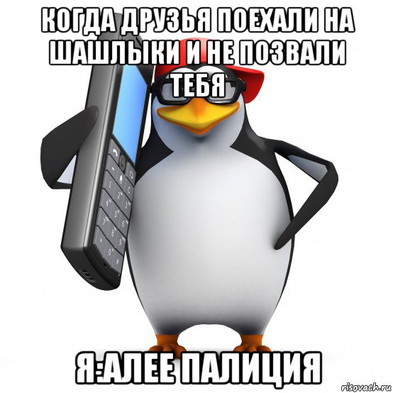 когда друзья поехали на шашлыки и не позвали тебя я:алее палиция, Мем   Пингвин звонит