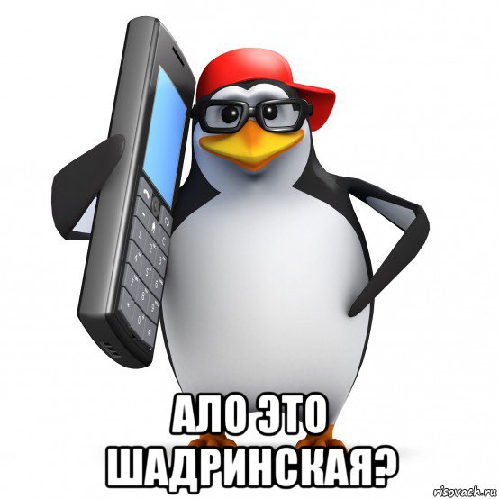  ало это шадринская?, Мем   Пингвин звонит