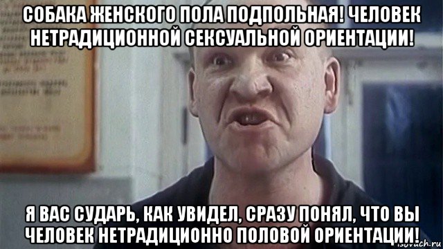 собака женского пола подпольная! человек нетрадиционной сексуальной ориентации! я вас сударь, как увидел, сразу понял, что вы человек нетрадиционно половой ориентации!, Мем Пистон