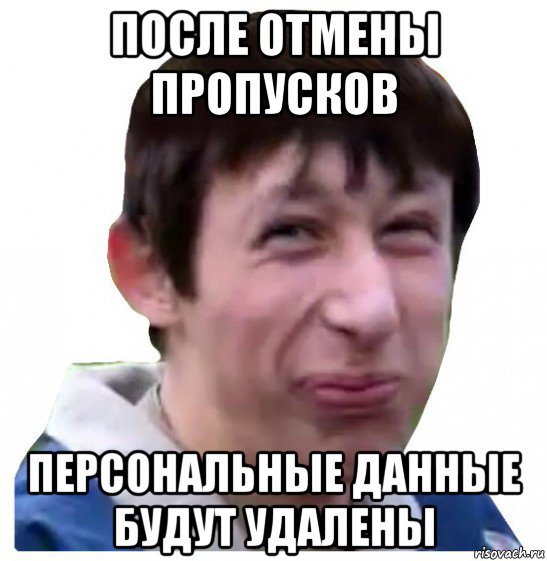 после отмены пропусков персональные данные будут удалены