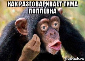 как разговаривает тима поплёвка , Мем Причём тут это