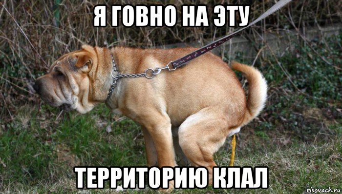 я говно на эту территорию клал, Мем Пропутинский тролль