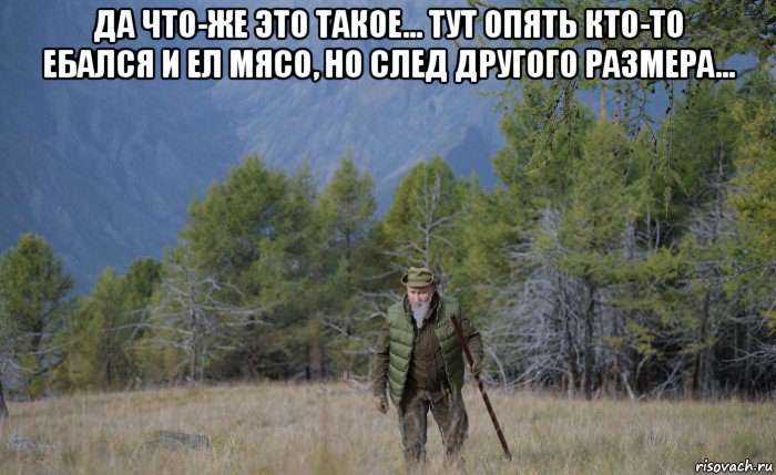 да что-же это такое... тут опять кто-то ебался и ел мясо, но след другого размера... , Мем Путин