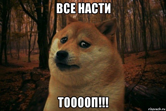 все насти тооооп!!!, Мем SAD DOGE