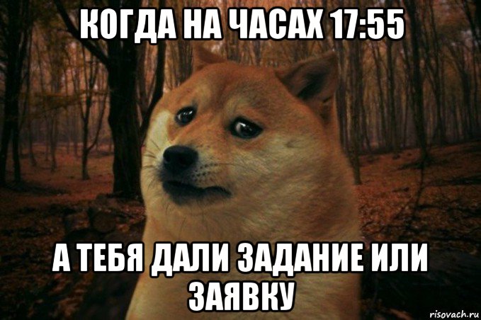 когда на часах 17:55 а тебя дали задание или заявку, Мем SAD DOGE