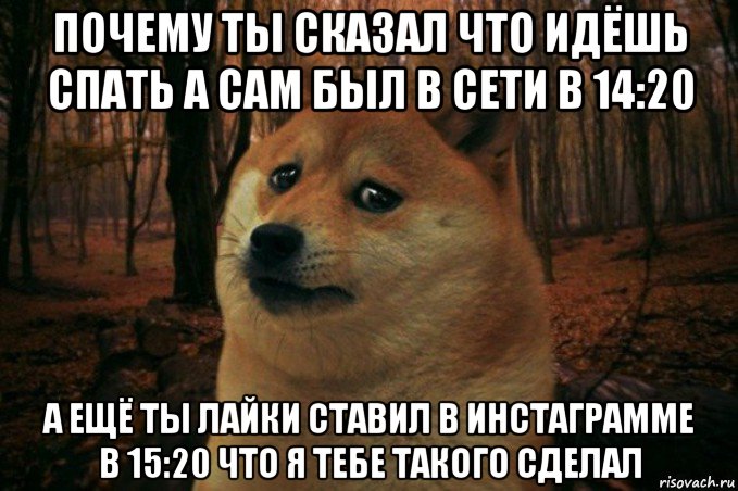 почему ты сказал что идёшь спать а сам был в сети в 14:20 а ещё ты лайки ставил в инстаграмме в 15:20 что я тебе такого сделал, Мем SAD DOGE