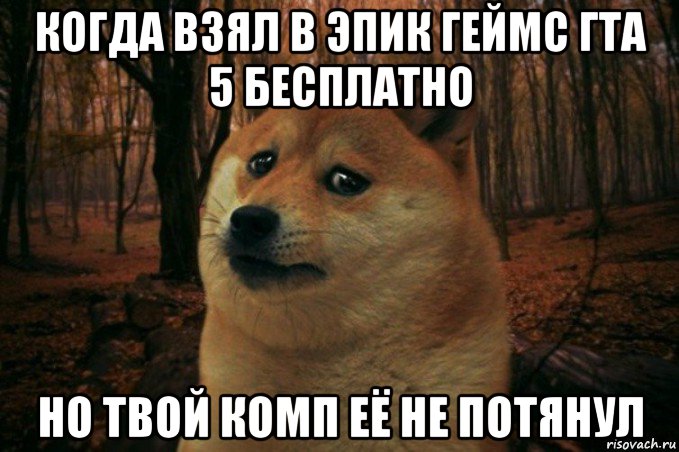 когда взял в эпик геймс гта 5 бесплатно но твой комп её не потянул, Мем SAD DOGE