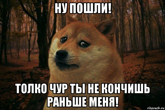 ну пошли! толко чур ты не кончишь раньше меня!, Мем SAD DOGE