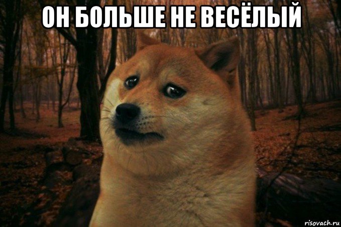 он больше не весёлый , Мем SAD DOGE