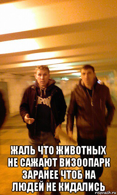  жаль что животных не сажают визоопарк заранее чтоб на людей не кидались, Мем Серпентарий