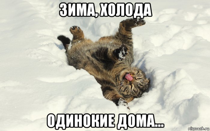 зима, холода одинокие дома..., Мем Снег